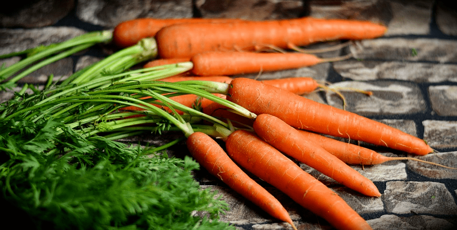 Des carottes pour garder la jeunesse
